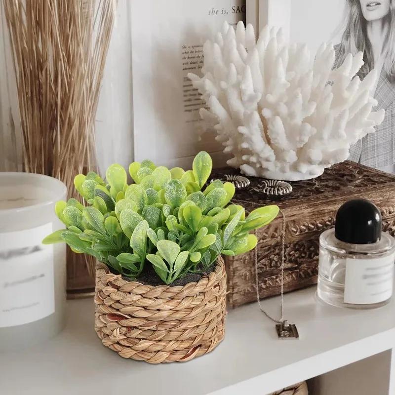 1Pc Potplant Kleine Nepplanten - Home Office Layout recensie en prijs